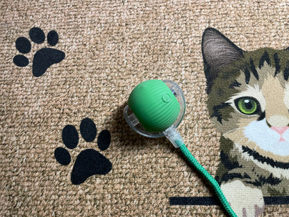 PawCatBall